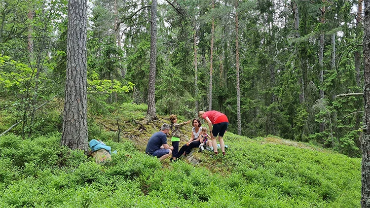 Tips p� aktiviteter