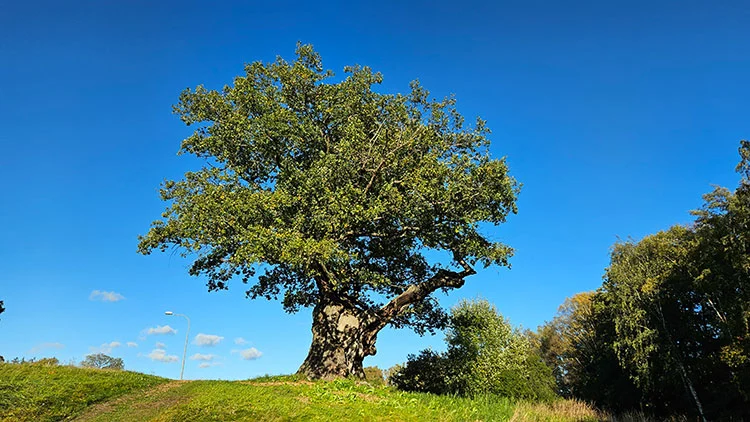 Hitta nya platser n�ra dig