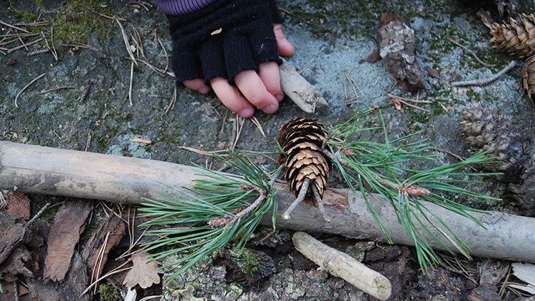 Barns hand som placerar kottar och pinnar p&aring; marken bland l&ouml;v och grenar i skogen