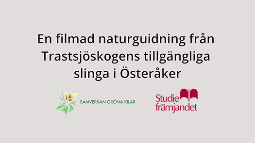 En filmad naturguidning fr�n Trastsj�skogens tillg�ngliga slinga i �ster�ker